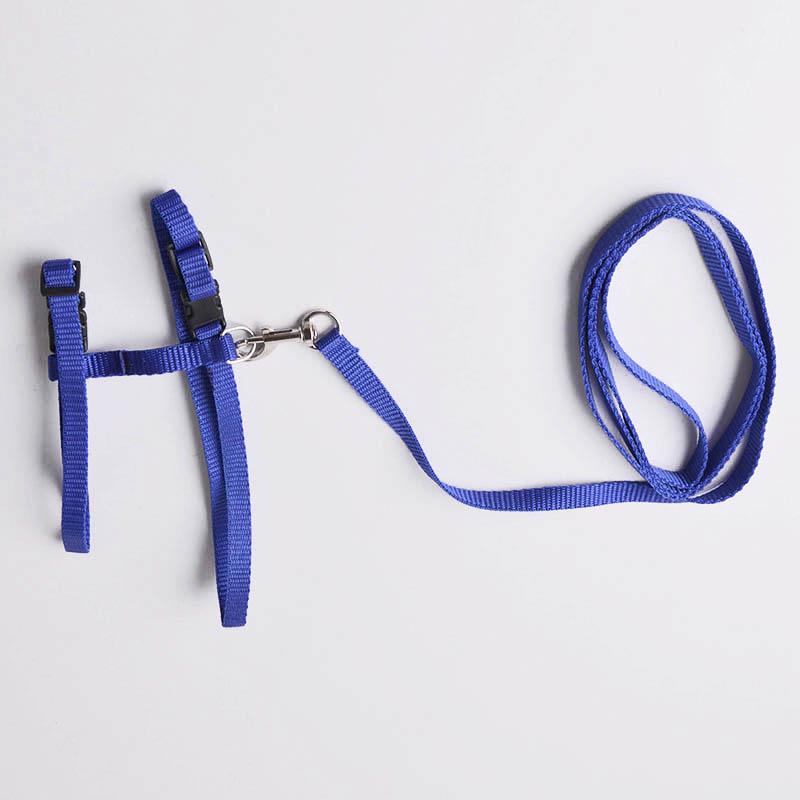 Регулируемый тяговый ремень для домашних животных, повод для кошек, поводок для маленьких собак и ошейник-поводок