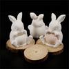 Силиконовая форма в виде кролика для Resin Art, бетона, изготовления контейнеров для украшений и декоративных кашпо для суккулентов