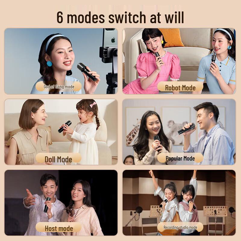 Dianyin SongBird-SE Home Karaoke Bluetooth Speaker with Dual Microphones