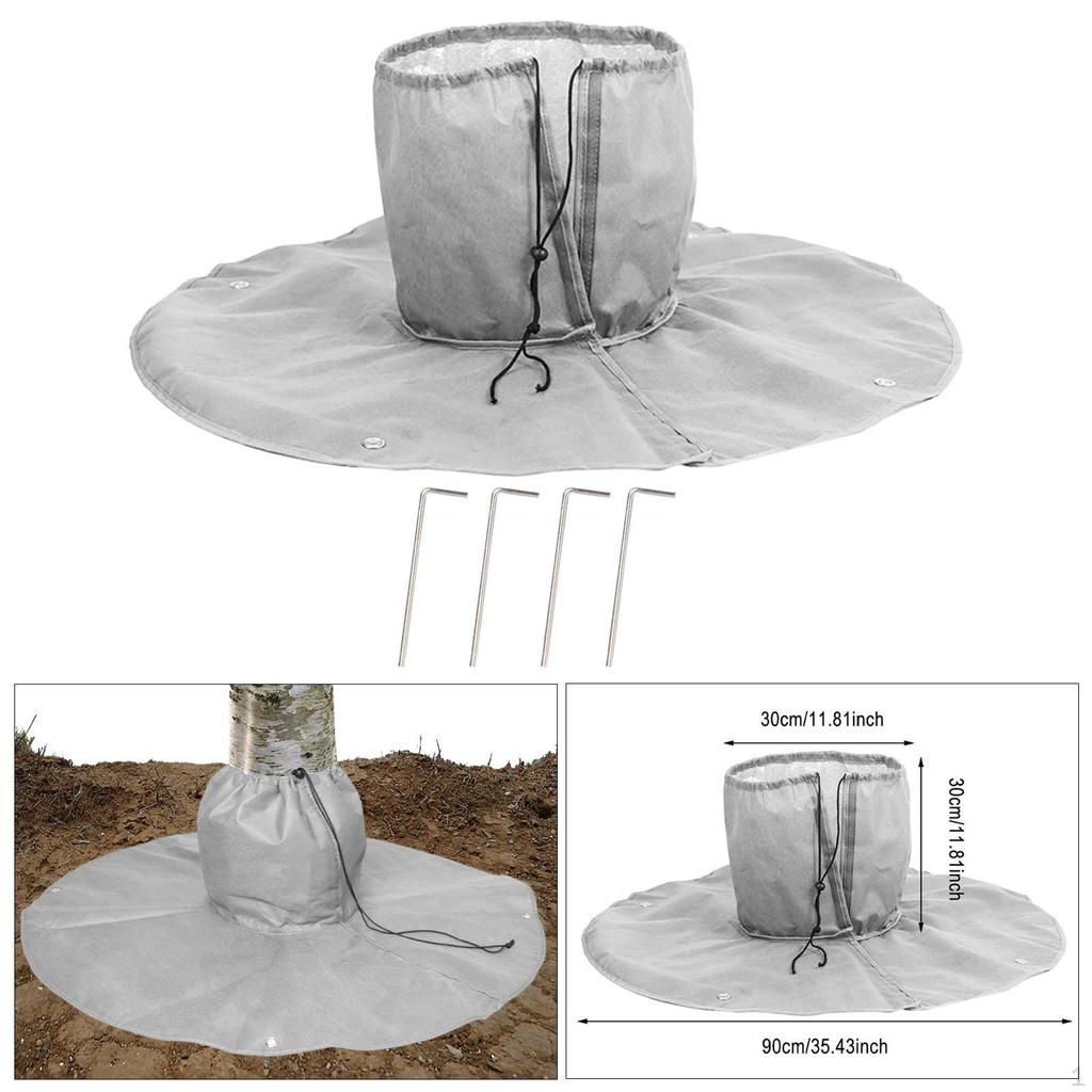 Корень пальмы для зимы, укрытие растений в холодных условиях