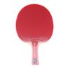 TSP Table Tennis Racket Shake Ventus Basic 029010 (FF/Men's, Lady's, Jr.)