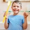Photo Shoots Props Shower Brush Huge Comedy Item Giant Toothbrush