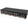 Audio Video Splitter Amplifier - QI - - 8 Ports - 1 Input - 8 Outputs