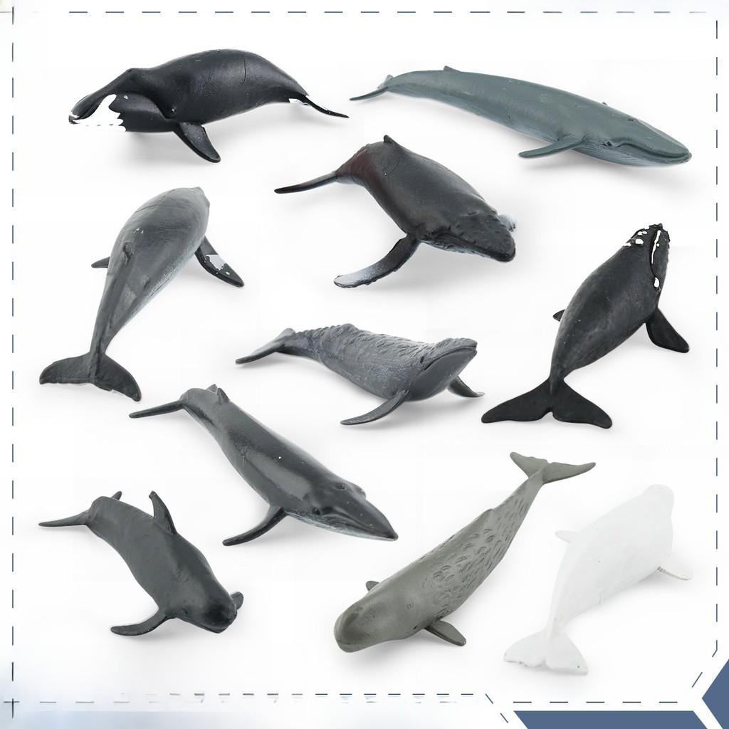 Морское Животное Белуха И Кит Реплика Модель Набор ПВХ Игрушка Для Декора Аквариума
