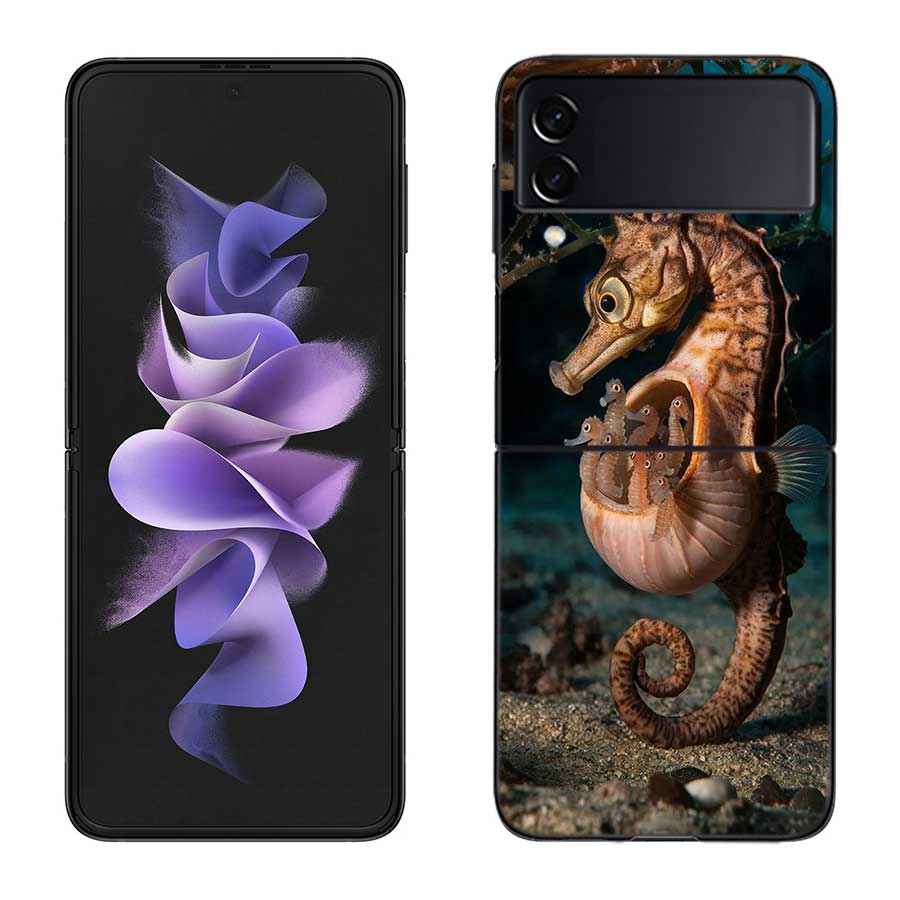 Seahorse Underwater Fantasy Case For Samsung Z Flip 6 5G Galaxy Z Flip 5 4 3 5G Black Hard Cell Phone Cover Luxury PC Shell Coqu