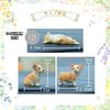 moin moin Figurine Ornament - Sleeping Corgi Puppies Assortment 5-Piece Set + Non-Slip Mat/Mini Small Sleeping/Sitting Puppies for Car Decoration Disp