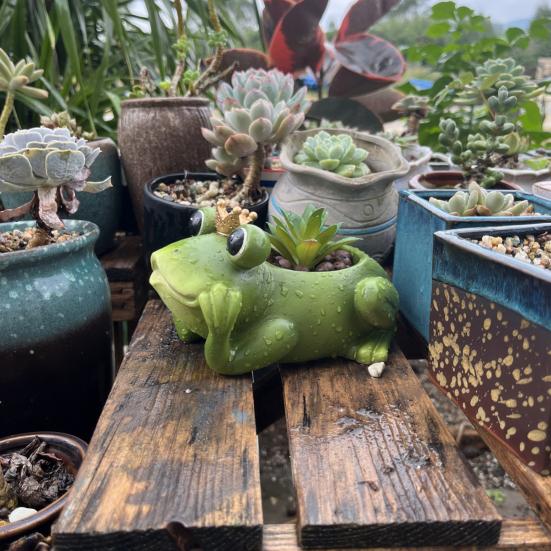 Горшок для цветов в виде лягушки из смолы, кашпо в форме лягушки, декор для сада, для помещений и улицы, горшок для растений в виде лягушки для суккулентов, кактусов, настольных растений на балконе