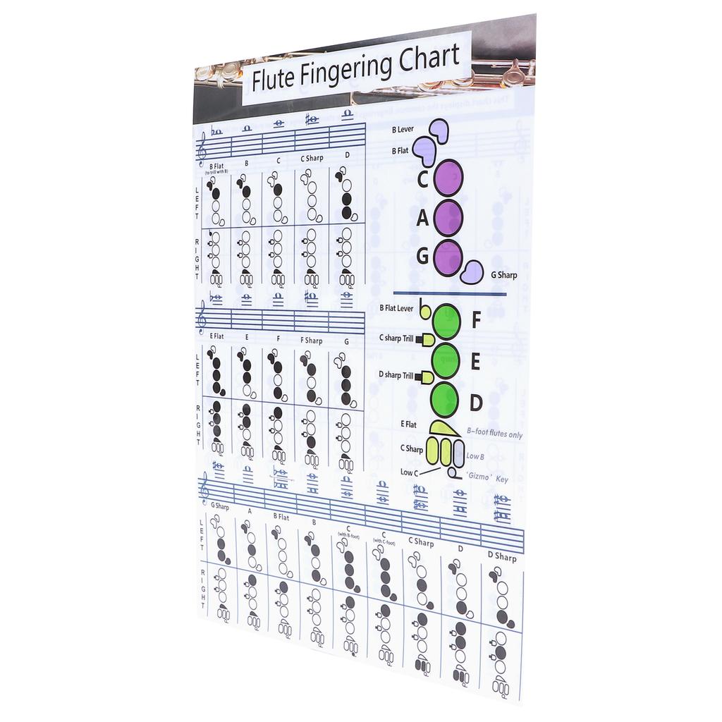 Flute Fingering Chord Chart Beginner Student Practice Teaching Aids Instrument