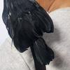 Halloween Black Feathered Crow Lifesize Realistic Raven Prop Handmade Artificial Birds Model for Indoor Outdoor Halloween Party Decor