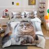 3D Lovely Cat Duvet Cover Set,cute Pet Cat Bedding Set Full Queen King Size,Cute Animals Luxury Quilt Covers Gifts Home Textiles
