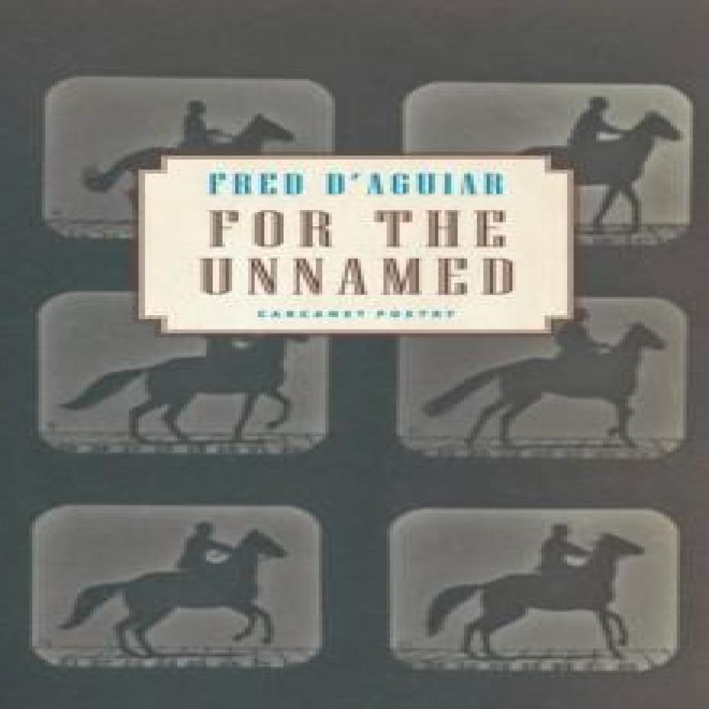 For the Unnamed by Fred DAguiar Paperback Book 9781800173415