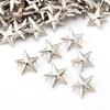 Nailhead Quality for Hat,Bag,Clothes Releasable Garment Supplies Star Rivets DIY Studs Sewing Decor