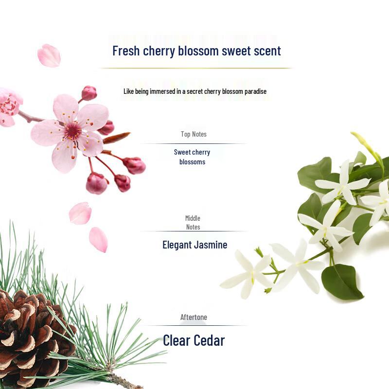 DOVE Коллекция по уходу за телом