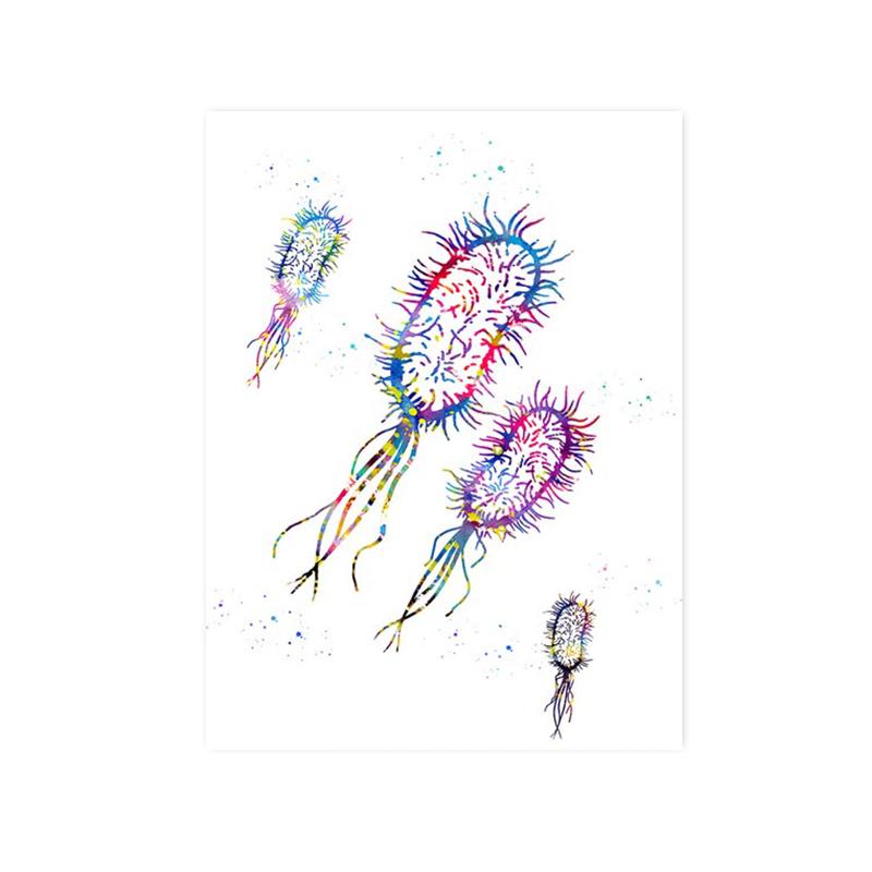 Анатомия человека мышечная система холст картина сердце легкие кость плакат печать медицинское образование офисные фотографии украшение дома подарки