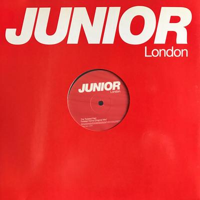 12-дюймовая пластинка TWISTED PAIR - Twisted Horns BRG009 Junior London 2000 UK Dance & Electronica Б/У