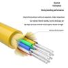 BOYANG GJFJH Single-Mode Indoor Fiber Optic Cable