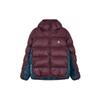 Куртка ACG Therma-FIT ADV Lunar Lake Азиатский размер DH3071-681