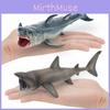 Реалистичная фигурка акулы из ПВХ для обучения и коллекционирования детей