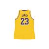 Nike Баскетбольная майка LeBron James Icon Edition Lakers Fan Pullover, женская майка, желтая AA7125-736