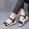 WTEMPO Brand Women's Summer Sandals Soft Bottom Niche Students Fashion A Word Buckle with Beach Women's Shoes with Skirt Flat Sandals
