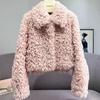 Autumn and Winter New Imitation Lamb Wool Short Fur Coat Women's Thickened Fashion Imitation Wool Roll Coat