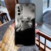 Sphynx Sphinx Cat Case For Samsung Galaxy A12 A22 A32 A52 A06 A54 A34 A14 A56 A36 A26 A16 A13 A53 A15 A35 A55