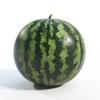 20 Sugar Baby Watermelon Seeds - SemiSauvage Permaculture