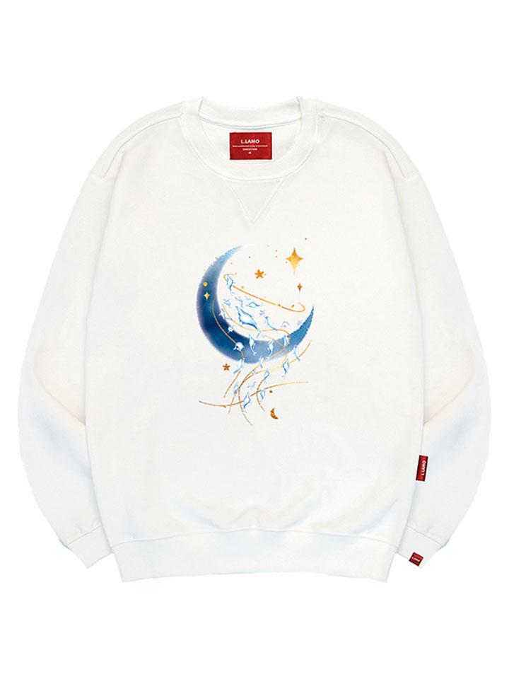 Толстовка Ellamo Moonlight Dolphin Унисекс Большие Размеры S~4XL (Тип)