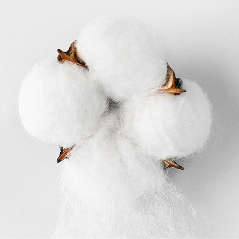 Summer Cotton Women's T-shirt Bottoming Basic Fashionable Solid Lady Short Sleeve Loose Tops Shirts Tops