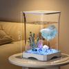 Betta Fish Tank Reptile Terrarium Lightweight Small Goldfish Multifunction for Living Room