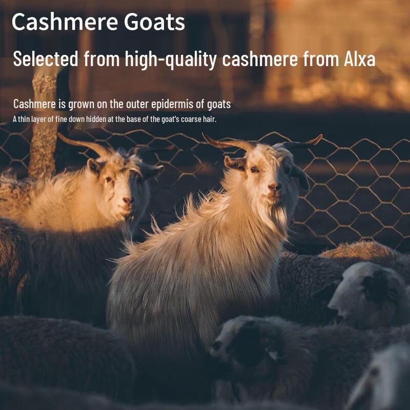 Hengyuanxiang Men's Pure Cashmere Stand-Collar Pullover Sweater