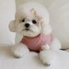 Love Winter Warm Pet Dog Clothing Base Shirt Cute Love Bear Teddy Yorkshire Hoodie Cat Pet Warm Clothing Designer Puppy Clothing