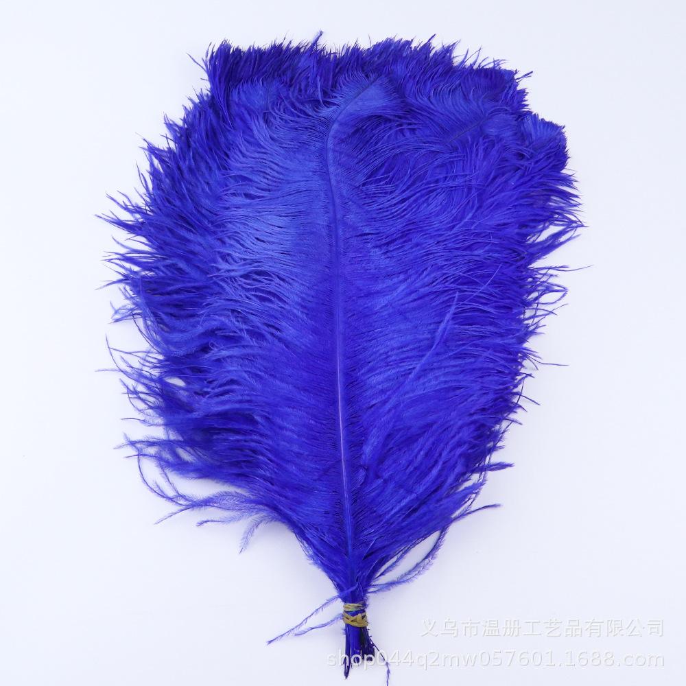 45-50 см Южноафриканское страусиное перо Современная перьевая лампа Свадебное сценическое украшение Высококачественное страусиное перо