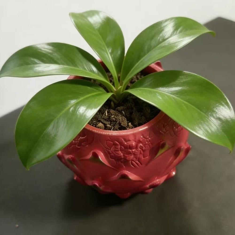 Handmade Succulents Plant Pots Fruit Shaped Desktop Storage Box Dragon Fruit Planter  Wedding