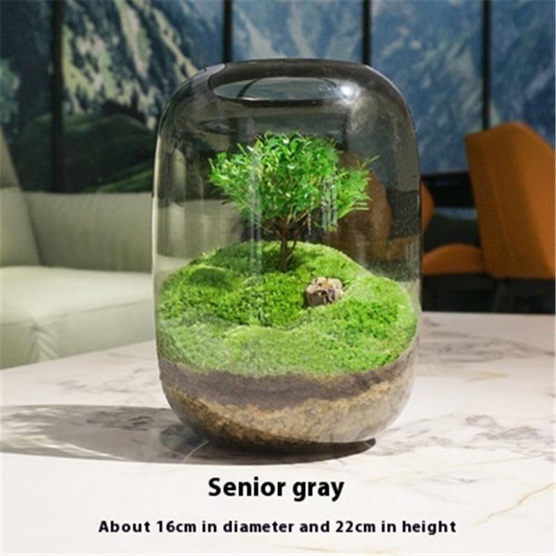 Творческий настольный микроландшафтный ваза своими руками зеленое растение экологическая бутылка мох ленивый искусственный ландшафтный дизайн бутылка современная простая ваза