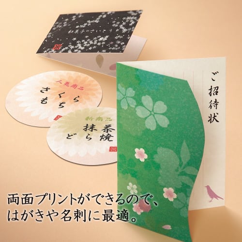 Plus Copy Paper Inkjet Paper Japanese Paper Extra Thick A4 10 Sheets IT-324R 45-899