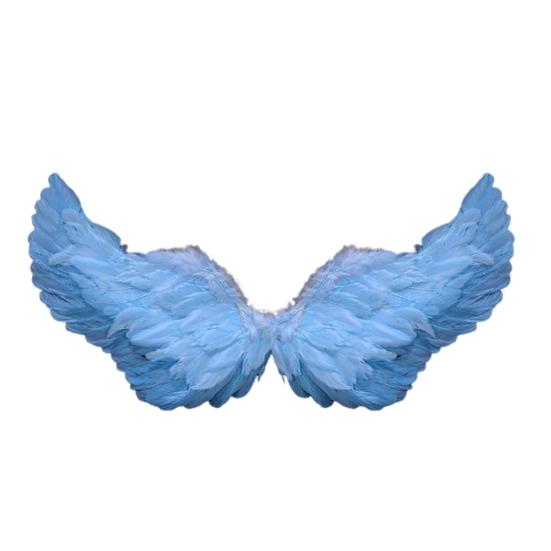 Дети Крылья Ангела Девочки Принцесса Костюм Регулируемые Перья Фея Крылья Косплей Сценическое Представление