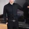 Long-sleeved Men's Solid Shirt Business Temperament Lined Free Ironing Shirt