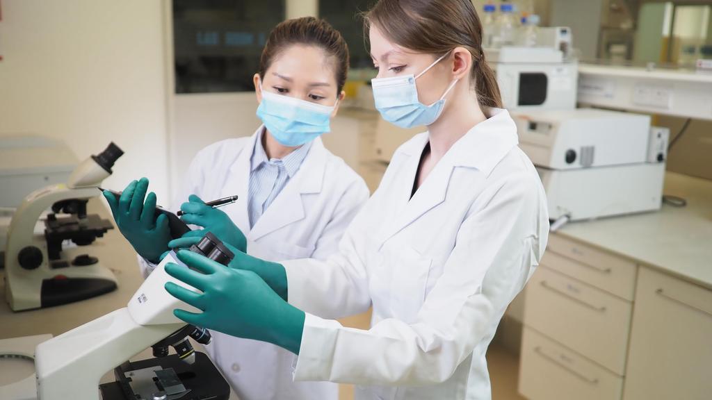 Ansell Chemical Resistant Neoprene Rubber Disposable Gloves Microflex XL Size 93-260 (50 Pieces) 93-260-10