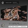 HYBXAXC Cute Animal Owl Gaming Mouse Pad Rubber Mousepad Cs Go Computer Laptop Mice Mat Anti-slip Anime Art Carpet Home MouseMat