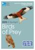 Книга RSPBIDSpotlight-BirdsofPrey