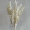 Dried Small Reed Flower Bouquet for Home Decor, Floral Art, Landscaping, and Weddings