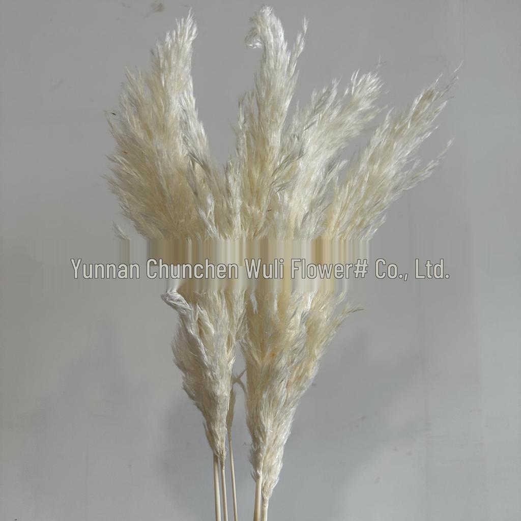 Dried Small Reed Flower Bouquet for Home Decor, Floral Art, Landscaping, and Weddings