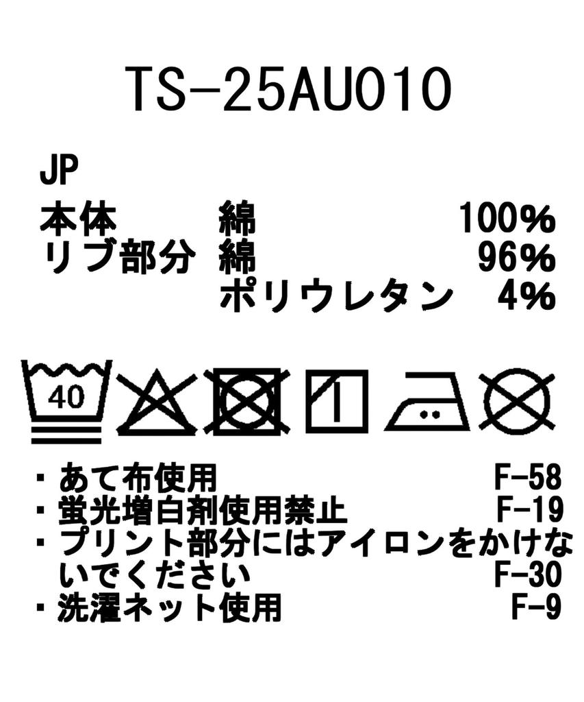 Snow Peak Soft Cotton Relaxed Logo Cut and Sew Long Sleeve and Size Black L/S T-Shirt TS-25AU010, T-Shirt, Men's Women's, L,