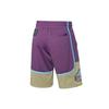 Li Ning x XLARGE Баскетбольные шорты Мужские Шорты Фиолетовые AAPP441-1