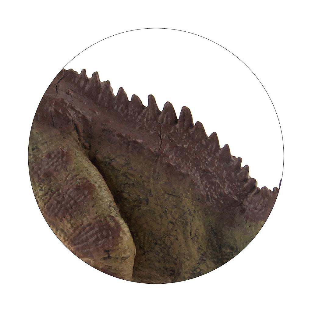 English Detail Map Dinosaur World Figure Model Toy Fuzi Niulong Jaw Movable