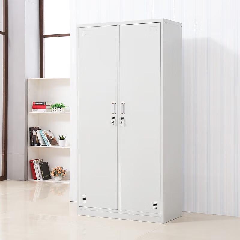 Zhenyi Double-Door Storage Cabinet