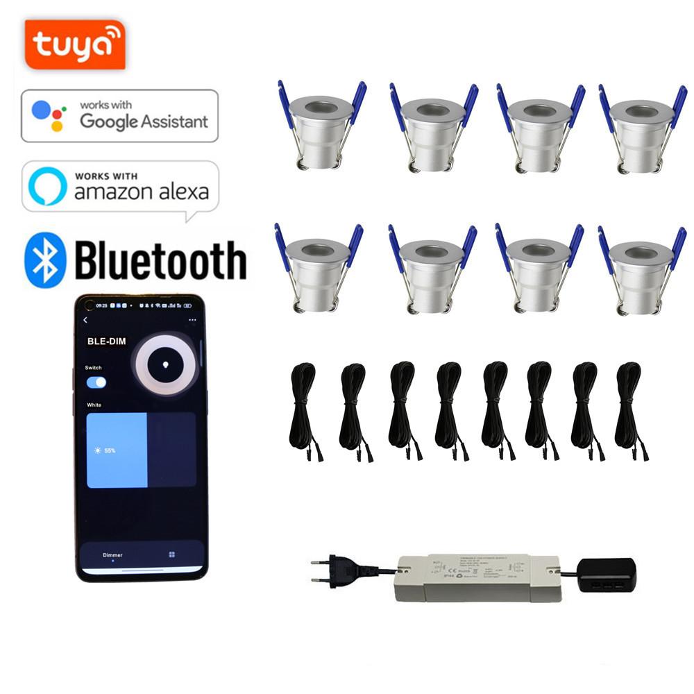 10x 3w Mini LED Downlight Complete Set TUYA APP Dimmable LED for Veranda or Terrace