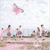 CD AKB48 - Давайте станем вишневым деревом NMAX1104 King Records 2011 Япония ОбиЯпонская поп-звезда Б/У