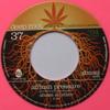 7-дюймовая пластинка ABASSI ALL STARS DUB ALL SENSE African Pressure Africa ROOT037 Deep Root 2010 UK Reggae Ska Dub Б/у